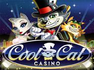 Instant Play Cool Cat Casino