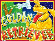 Golden Retriever screenshot 1