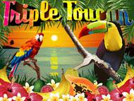 Triple Toucan screenshot 1