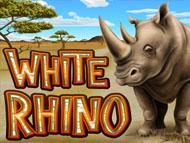 White Rhino screenshot 1