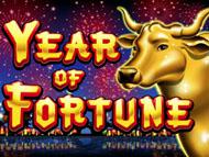 Year of Fortune screenshot 1