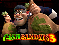 cash-bandits-3 screenshot 1