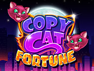 copy-cat-fortune screenshot 1