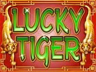 lucky-tiger screenshot 1
