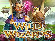 wild-wizards screenshot 1