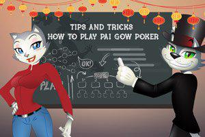 CoolCat explains how to play Pai Gow