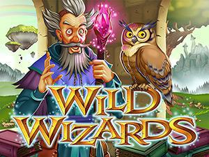 Halloween games online - Wild Wizards