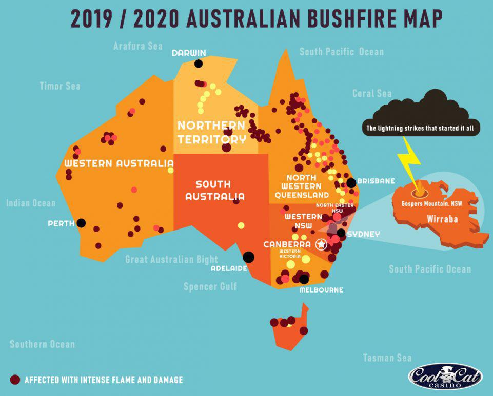 Infographic: Australia's Wildfires | CoolCat Casino