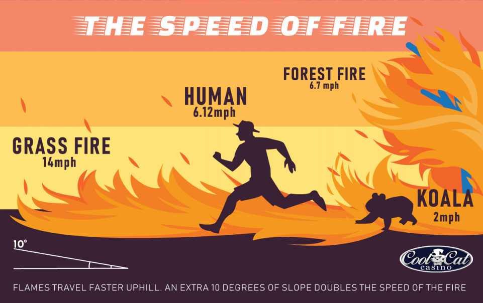 Infographic: Australia's Wildfires | CoolCat Casino