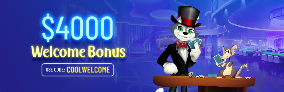 Cool Cat Casino Spieler- und Bonus-Analyse für Deutschland